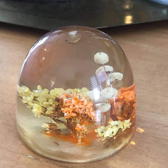 vintage resin paperweight with encased foliage